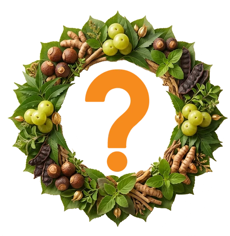 Natural Ayurvedic Ingredients